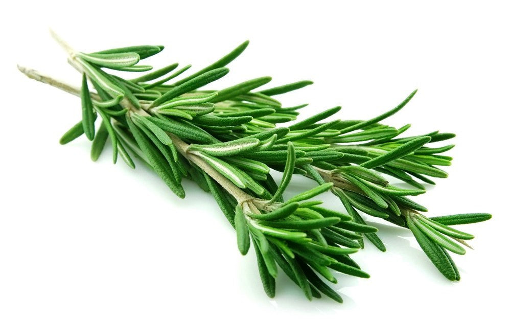 5 Unusual Ways to Use Rosemary You've Never Thought About – Kissed