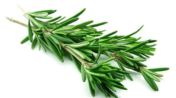 5 Unusual Ways to Use Rosemary You've Never Thought About